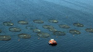 su urunleri iha 1943598