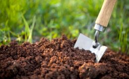 “Ham toprak” yatırımı hakkında bilmeniz gereken 4 kritik gerçek