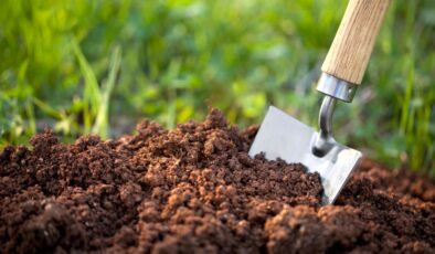 “Ham toprak” yatırımı hakkında bilmeniz gereken 4 kritik gerçek