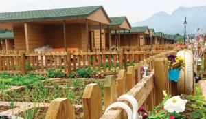 Hobi bahçelerinde yıkım tartışmasına son nokta: Cumhurbaşkanı Erdoğan’dan "orta yol" talimatı 6 tarladaki ev yikilacak alip magdur olmayin sektor temsilcileri tarla kondu diye tabir 1782499 202604072346 20260407234610 2 1