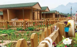 Tarımda ‘tarlakondu’ operasyonu: Hobi bahçeleri için yıkım kapıda