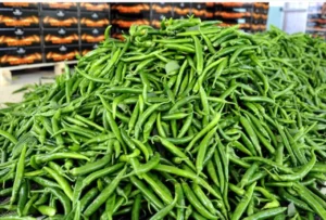 Tarlada 7 lira rafta 200 lira: Biberdeki fahiş fiyat oyunu deşifre oldu 5 tarladan 7 liraya cikti rafta 200 liraya uctu ticaret bakanligi biber vurgununu desif 1782466 photogallery 20260407211201 5