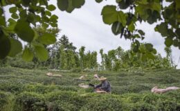 Karadeniz yatırımda atağa kalkıyor