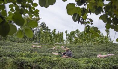 Karadeniz yatırımda atağa kalkıyor