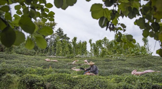 Karadeniz yatırımda atağa kalkıyor