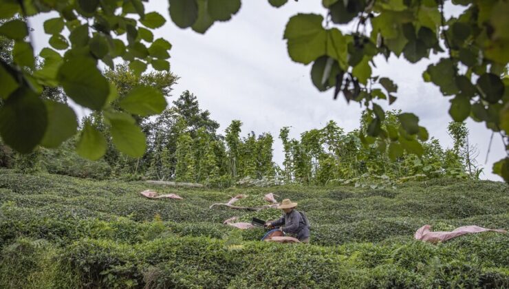Karadeniz yatırımda atağa kalkıyor