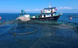 Çin’e su ürünleri ihracatı iki katına çıktı