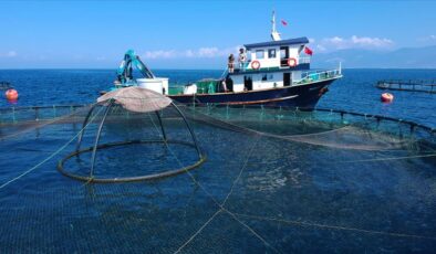 Çin’e su ürünleri ihracatı iki katına çıktı