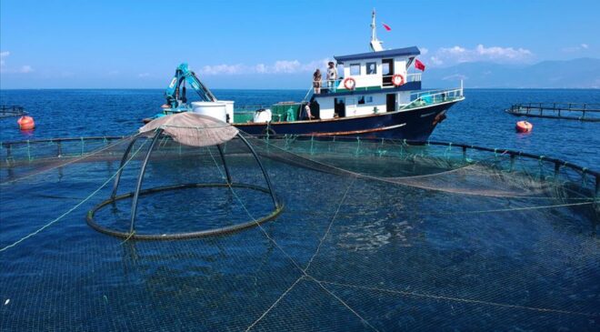 Çin’e su ürünleri ihracatı iki katına çıktı