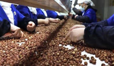 Fındık ihracatı ilk çeyrekte 658 milyon doları aştı