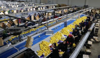 Yaş meyve sebze ihracatında liderlik koltuğu Irak’a geçti