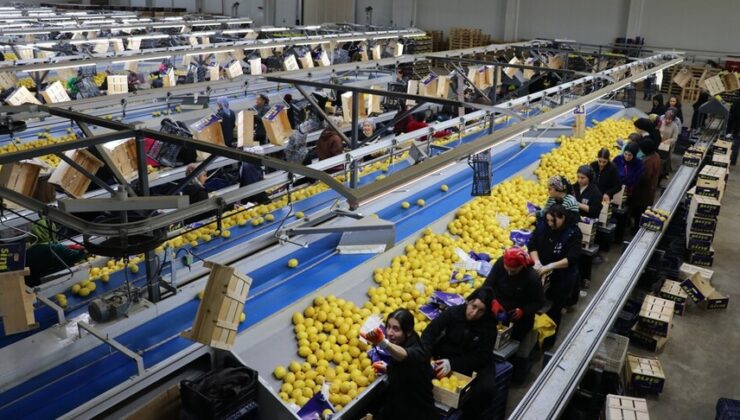 Yaş meyve sebze ihracatında liderlik koltuğu Irak’a geçti
