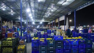 thumbs b c 3827cd99186181a3cb7bab07eb9ea17a