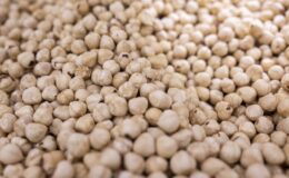 Fındık ihracatında Trabzon damgası: 3 aylık fatura 379 milyon dolar