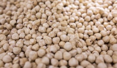 Fındık ihracatında Trabzon damgası: 3 aylık fatura 379 milyon dolar