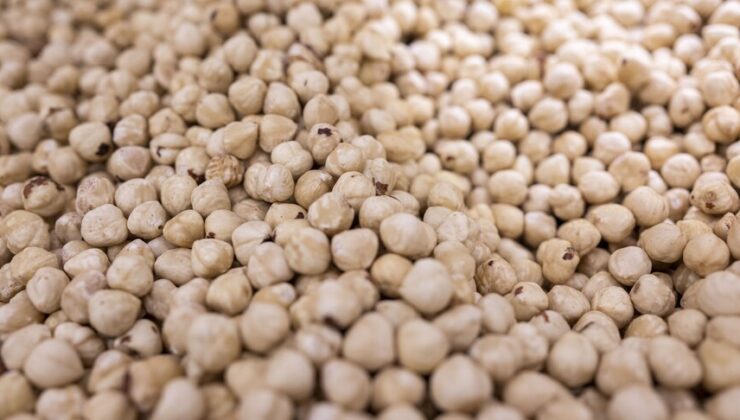 Fındık ihracatında Trabzon damgası: 3 aylık fatura 379 milyon dolar