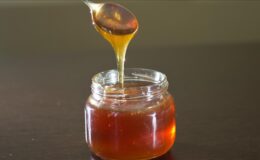 Bal ihracatında ilk çeyrekte 9,2 milyon dolarlık gelir