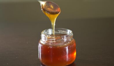 Bal ihracatında ilk çeyrekte 9,2 milyon dolarlık gelir