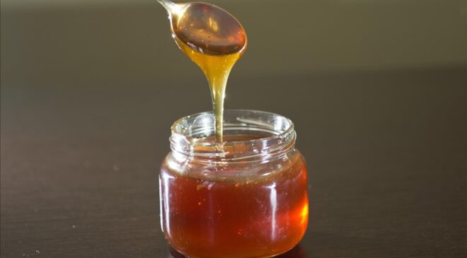 Bal ihracatında ilk çeyrekte 9,2 milyon dolarlık gelir