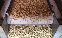 Fındık ihracatından 7 ayda 1,4 milyar dolarlık dev gelir