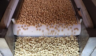 Fındık ihracatından 7 ayda 1,4 milyar dolarlık dev gelir