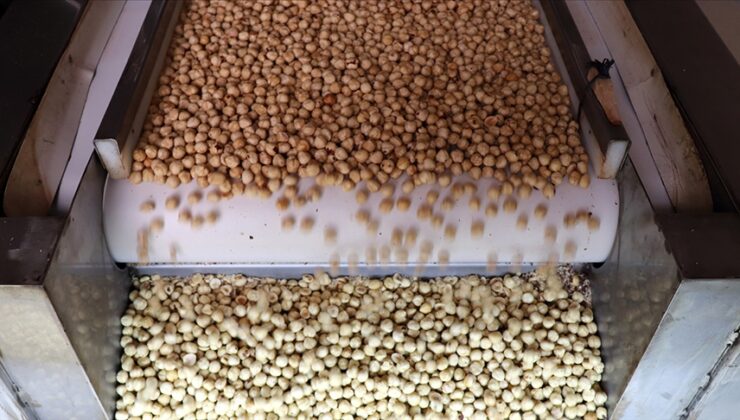 Fındık ihracatından 7 ayda 1,4 milyar dolarlık dev gelir