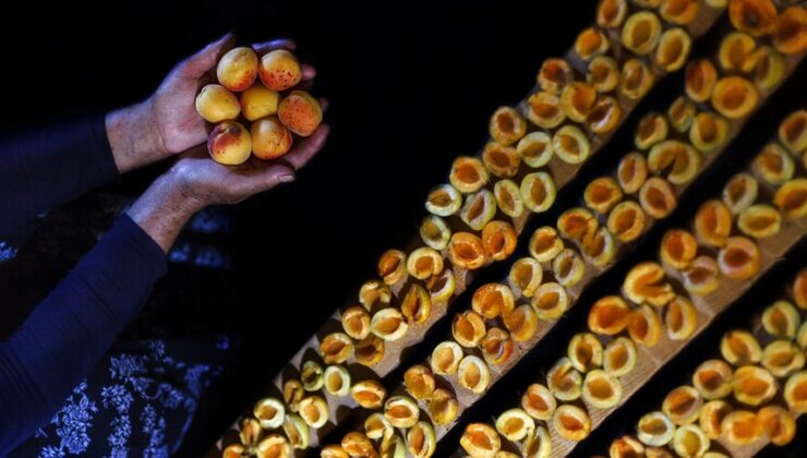 Malatya’nın sarı altını durdurulamıyor: İlk çeyrekte 66 milyon dolarlık ihracat!