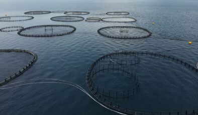 Muğla’nın ‘mavi ekonomi’ rüzgarı