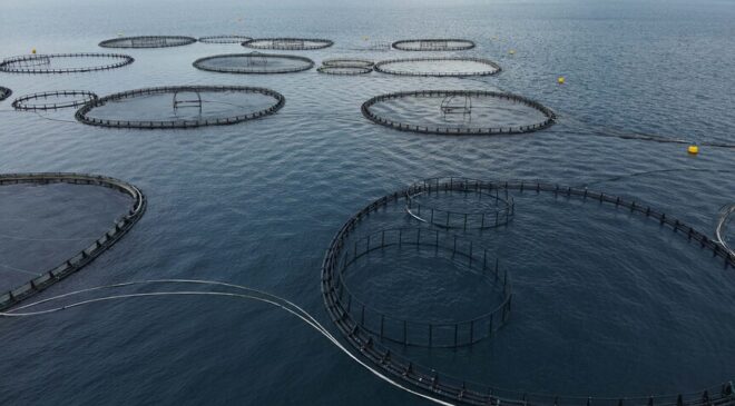 Muğla’nın ‘mavi ekonomi’ rüzgarı