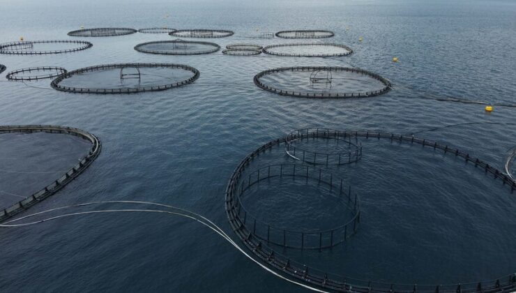 Muğla’nın ‘mavi ekonomi’ rüzgarı