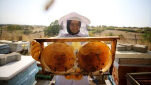 thumbs b c c91efed5d19dce9ac0693c6f6664436c 1