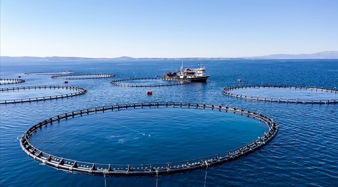 Karadeniz’in su ürünleri ihracatı 85 milyon doları aştı