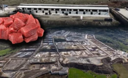 Kastamonu hayvancılığın kalbi oluyor: 784 milyonluk dev yatırımda sona gelindi