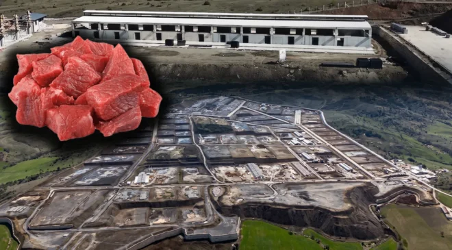 Kastamonu hayvancılığın kalbi oluyor: 784 milyonluk dev yatırımda sona gelindi