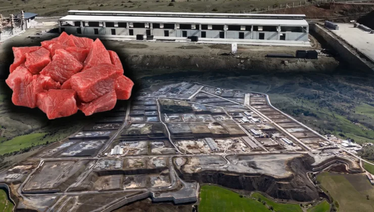 Kastamonu hayvancılığın kalbi oluyor: 784 milyonluk dev yatırımda sona gelindi