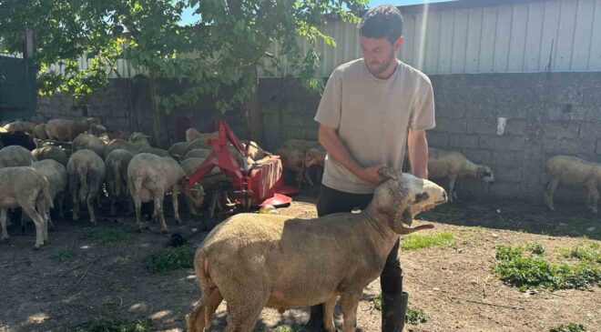 Kurbanlıkta rotayı kırsala çeviren kazanıyor