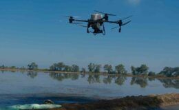 Çiftçiler çeltik tohumunu Drone’la havadan ekiyor