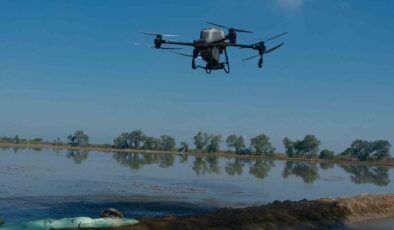 Çiftçiler çeltik tohumunu Drone’la havadan ekiyor