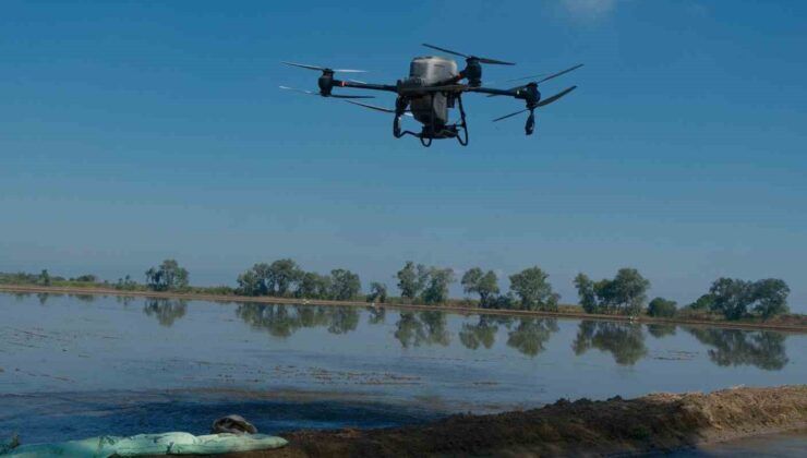 Çiftçiler çeltik tohumunu Drone’la havadan ekiyor