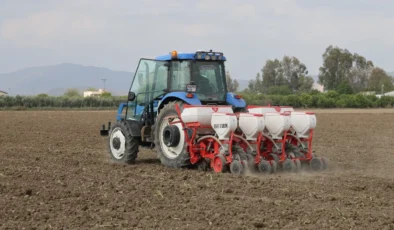 Tarımda istihdam devrimi: 250 bin kişiye yeni iş kapısı açılıyor