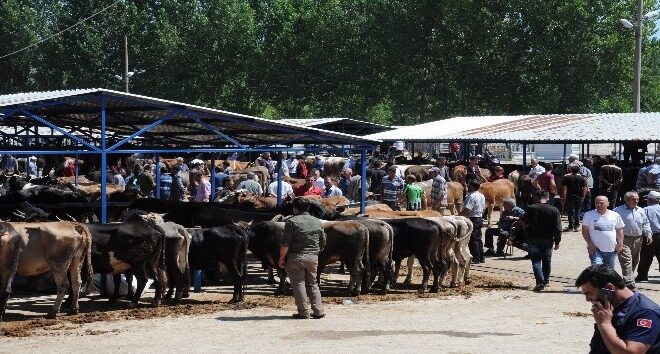 Palandöken’den kurban pazarları için kritik uyarı
