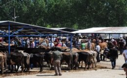 Palandöken’den kurban pazarları için kritik uyarı