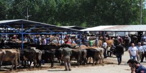 Palandöken’den kurban pazarları için kritik uyarı