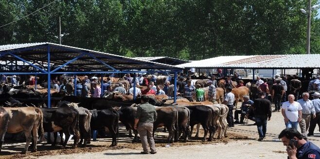 Palandöken’den kurban pazarları için kritik uyarı