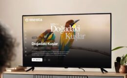 Demanslı bireylere teknoloji odaklı çözüm