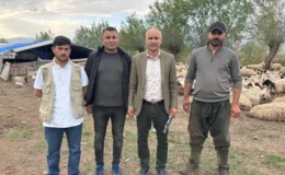 Hayvancılıkta “Afgan Modeli” dönemi: 150 bin TL’lik kriz asgari ücretle çözüldü!
