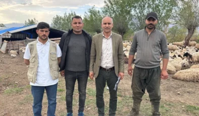 Hayvancılıkta “Afgan Modeli” dönemi: 150 bin TL’lik kriz asgari ücretle çözüldü!