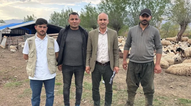 Hayvancılıkta “Afgan Modeli” dönemi: 150 bin TL’lik kriz asgari ücretle çözüldü!