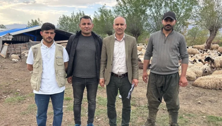 Hayvancılıkta “Afgan Modeli” dönemi: 150 bin TL’lik kriz asgari ücretle çözüldü!