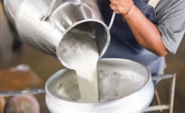 Çiğ sütte yeni dönem: 1 Mayıs itibarıyla litre fiyatı 24,3 lira